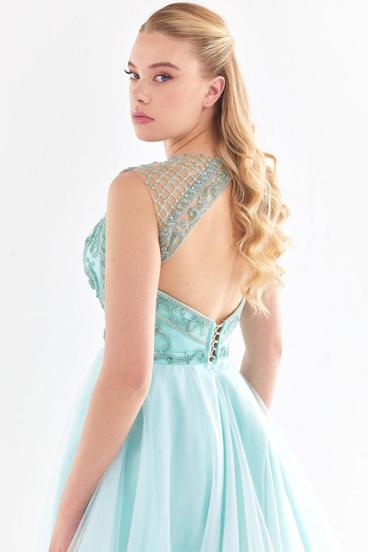 Tulle Embroidered Strapless Look Evening Dress