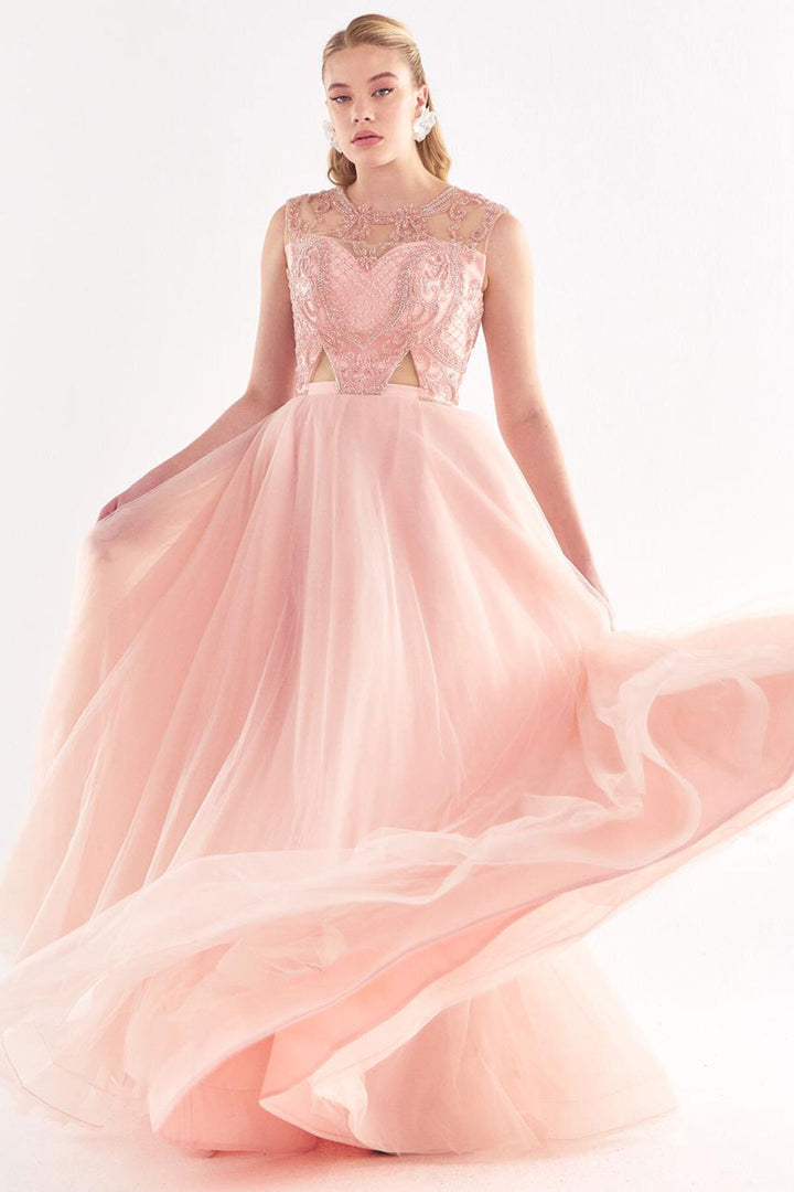 Tulle Embroidered Strapless Look Evening Dress