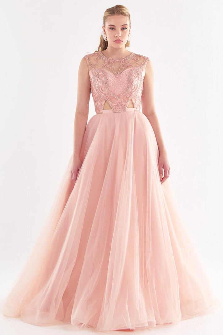 Tulle Embroidered Strapless Look Evening Dress