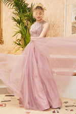 Load image into Gallery viewer, Front and Back Bust Patterned Tulle Skirt Dress
