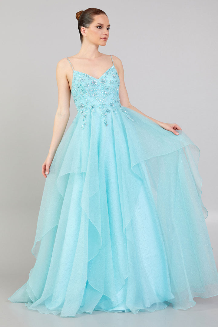 Evening Dress with Embroidered Detail, Straps and Tulle Skirt Detail