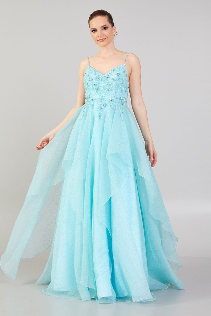 Evening Dress with Embroidered Detail, Straps and Tulle Skirt Detail